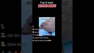 Top 6 best internet memes #funny #meme #funnymemes #viralmemes #shorts