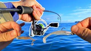 Which SOFT PLASTIC LURE will work BEST?