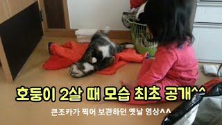 호둥이 2살 때 모습 최초 공개/When HoDoong was 2 years old