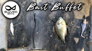 Natural or artificial baits?? Who wins! | BassSniperScooter