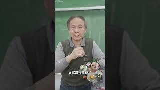 東吳物理 陳秋民老師演示11-剪瓦斯管(下)