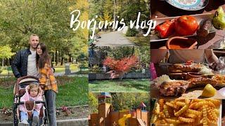 Borjomi\Shemodgomis vlogi.