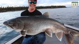 TOP 3 BIGGEST LAKE TROUT EVER CAUGHT! (compilation)