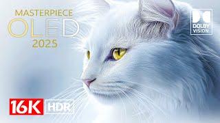 MASTERPIECE Dolby Vision HDR 16K Video ULTRA HD  (4K / 8K TV)