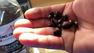 San Francisco Bay Whole Bean Coffee - French Roast Review