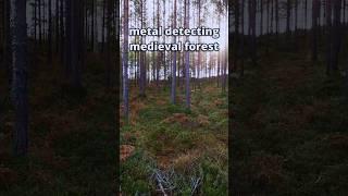 Metal detecting a medieval forest in Finland  #metaldetecting #fyp  #treasure