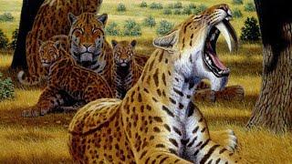 Machairodontinae - The Saber-Toothed Cats