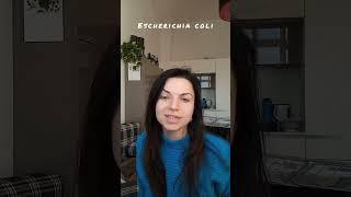 Escherichia coli - кишечная палочка