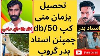 Kabootar Bazi Yazman 50chek cup win Ustad Rana Sajid group کپ ون بدر گروپ #kabootar #viral #video