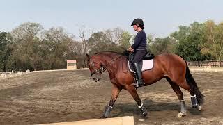 Kasey Perry clinic, canter work