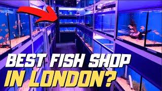 Wholesale Tropicals Fish Shop Tour ! Bethnal Green - London