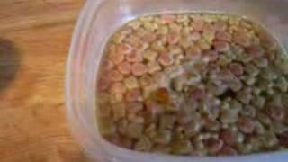 How To Make Home-Made Baby Bird Food