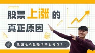 股票上涨的真正原因 !  | 想要从股市赚钱就一定要搞懂的道理！| Benjamin Penny