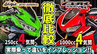 【徹底比較】 ZX-25RとCBR1000RRどっちが良いの？4気筒異排気量スーパースポーツ対決！実際乗って確かめてみた！250cc対リッター1000cc！バイク試乗インプレ乗り比べ【モトブログ】