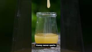 I Discovered Weird Facts That Blew My Mind!!!