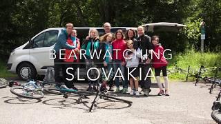 HIKING BEARWATCHING PRIVATE TOUR IN SLOVAKIA WITH ADVENTOURA