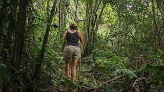 Deep into the Sesaot Forest, Lombok