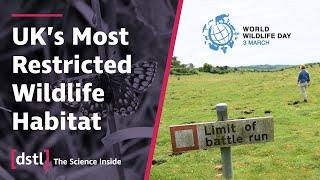 The UK's Most Restricted Wildlife Habitat | The Nature Found at Dstl Porton Down