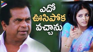 Priyamani and Brahmanandam Superb Comedy Scene | Pravarakyudu Telugu Movie | Jagapathi Babu