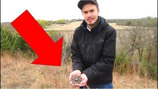 YOU WON’T BELIEVE WHAT WE FOUND ON THE OREGON TRAIL! Metal Detecting Military Campsite