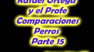15 Rafael Ortega El Cabezon y El Profe - Comparaciones - Perros del rico y el pobre
