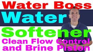 WaterBoss Water Softener Clean Flow Control & Brine Piston 9 Easy Steps