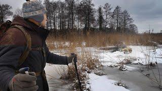 A day in the life of Wolf and Lynx researcher