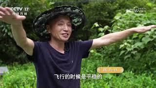 《共富经》 20240825 他们的甜蜜有点“野”|农业致富经 Agriculture And Farming