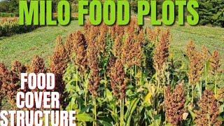 MILO FOOD PLOTS