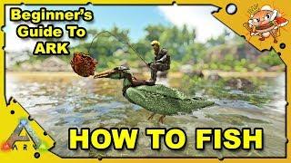 How To Catch Fish For Epic Loot And Blueprints! Beginner's Guide - Ark: Survival Evolved [S4E22]
