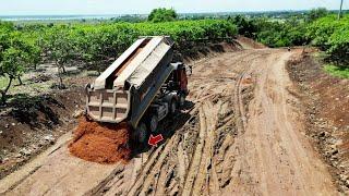 Excellent Skill of Building A Road Foundation Crossing A Huge Hill by DumpTruck 25.5T and Dozer D41P