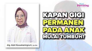 Kapan Gigi Permanen Pada Anak Mulai Tumbuh drg. Astri Kusumaningrum Sp.KGA Dunia Parenting Indonesia