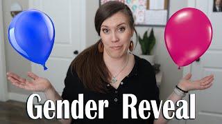 Pregnancy Update & Gender Reveal | Homeschool Mom of 6