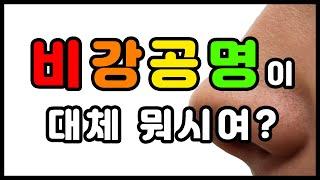 비강공명에 대한 내용 총정리