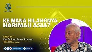 KE MANA HILANGNYA HARIMAU ASIA?