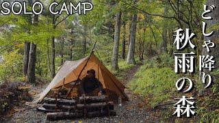 [Solo Camp] Enjoy rain camping alone in the downpour forest