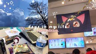 my days in april vlog ️ finals study time, sailor moon pop up + fun times by. idol  nani 