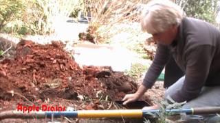 How to Install a Catch Basin, by Apple Drains