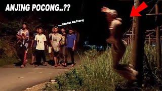 Prank POCONG ke BOCIL Sampai Lari Kocar Kacir Panggil Emak