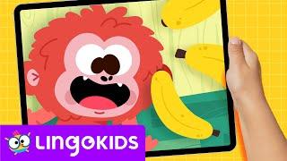 TAKE CARE OF THE ORANGUTAN ️ Animals Games | Lingokids Activities️