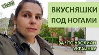 ВЛОГ: ДЕЛИКАТЕСЫ ПОД НОГАМИ В ИСПАНИИ | ЗА ЧТО УВОЛИЛИ УКРАИНКУ