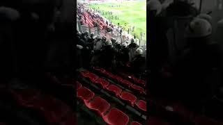 Греческие "космонавты" избили фанов "Динамо" на трибунах стадиона.