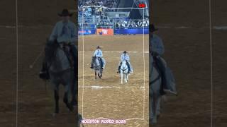 Houston Rodeo Horse #CM_o8o1 #HoustonRodeo #HoustonRodeo2024