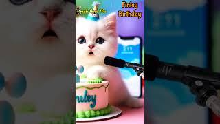 FINLEY BIRTHDAY | HAPPY BIRTHDAY SONG WITH NAMES | Adorable Cute Cat   #happybirthday #cat #cute