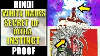 White Hairs Secret of Ultra Instinct with Proof in Hindi | Dragon Ball Super Hindi