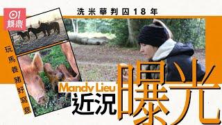 洗米華囚18年｜Mandy Lieu近況曝光　英國生活無憂玩馬玩豬好寫意