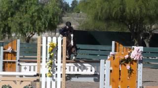 2011-2012 IEL Show Season - Show #2 Matti Schulman JV Equitation Over Fences