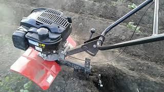 Hoeing of potatoes with the Tarpan TMZ-MK-03 cultivator How to hoe potatoes with a TARPAN cultivator