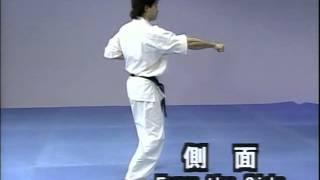 Tsuki No Kata