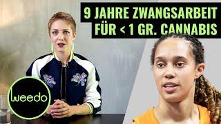 Der Fall Brittney Griner: Politischer Schachzug, Rassismus, Homophobie? Alle Hintergründe – Weedo TV